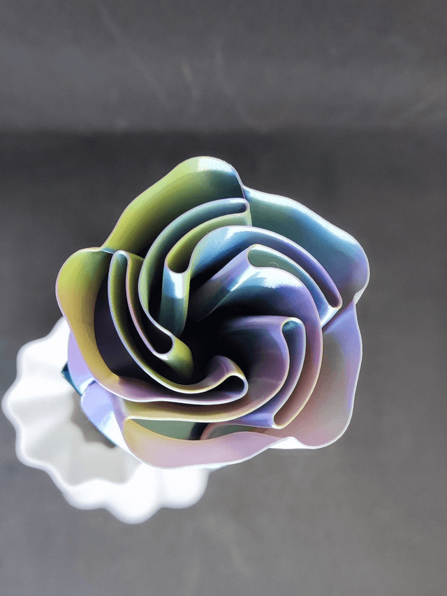 Rose 3 couleurs (violet jaune bleu)