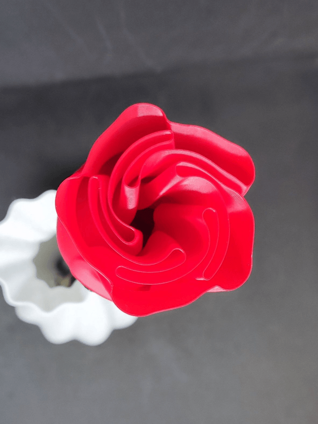 Rose rouge