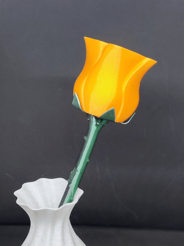 Rose orange