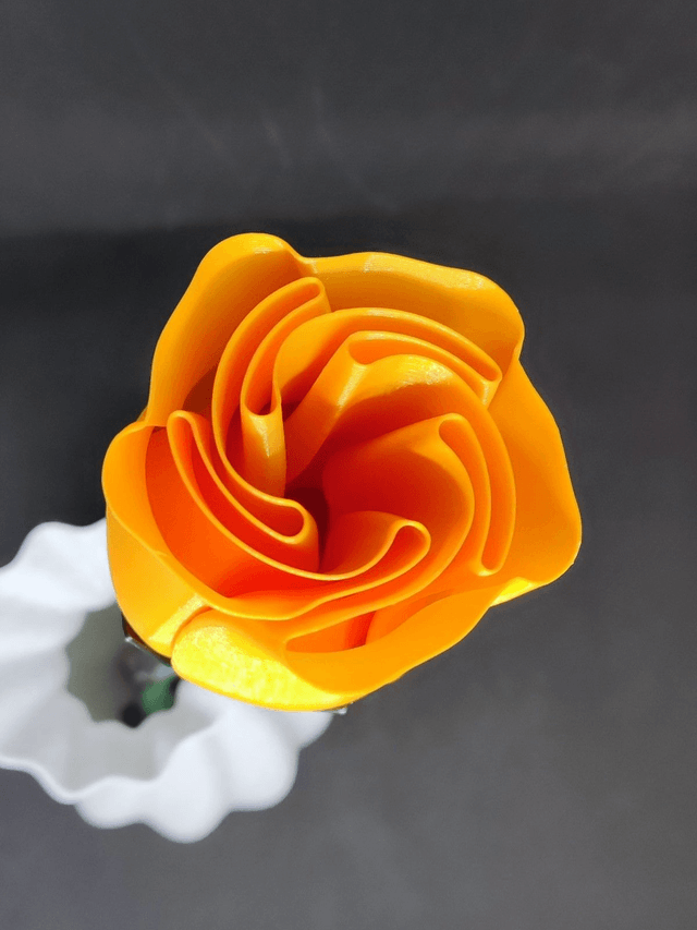 Rose orange