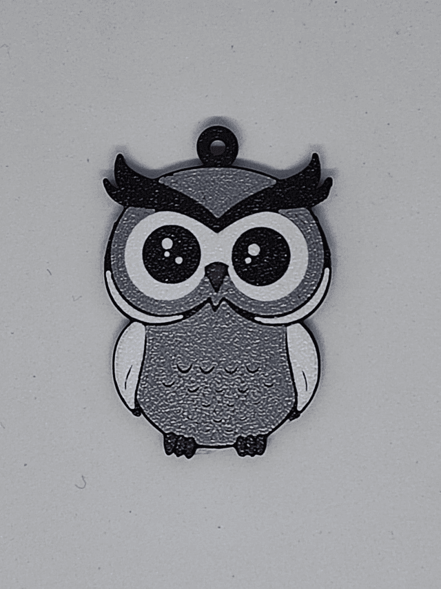 Porte clé hibou