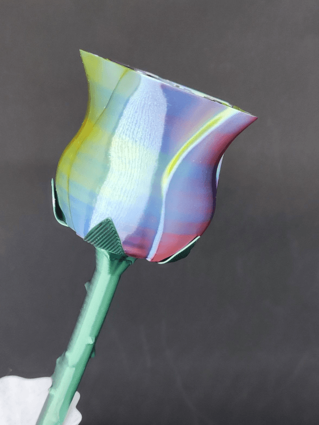 Rose 3 couleurs (violet jaune bleu)